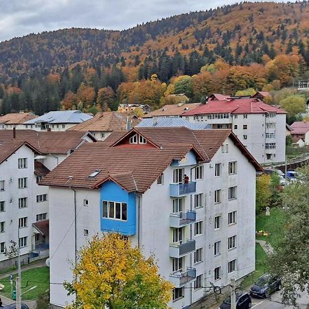 Sinaia Alpineview Residence Dış mekan fotoğraf
