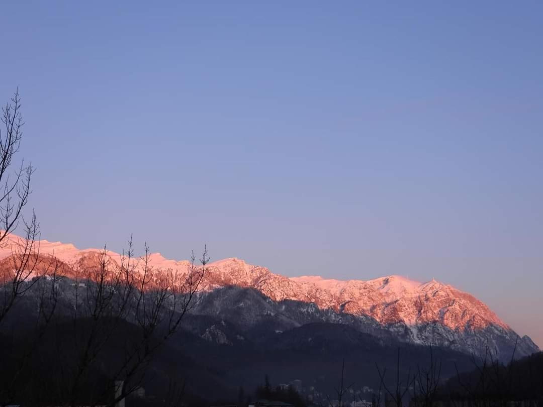 Sinaia Alpineview Residence Dış mekan fotoğraf