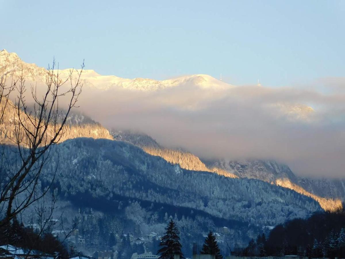 Sinaia Alpineview Residence Dış mekan fotoğraf