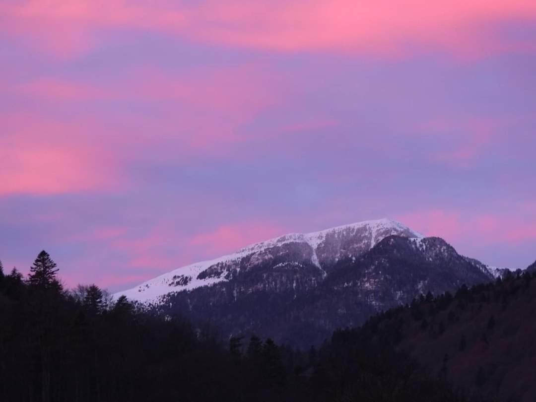Sinaia Alpineview Residence Dış mekan fotoğraf