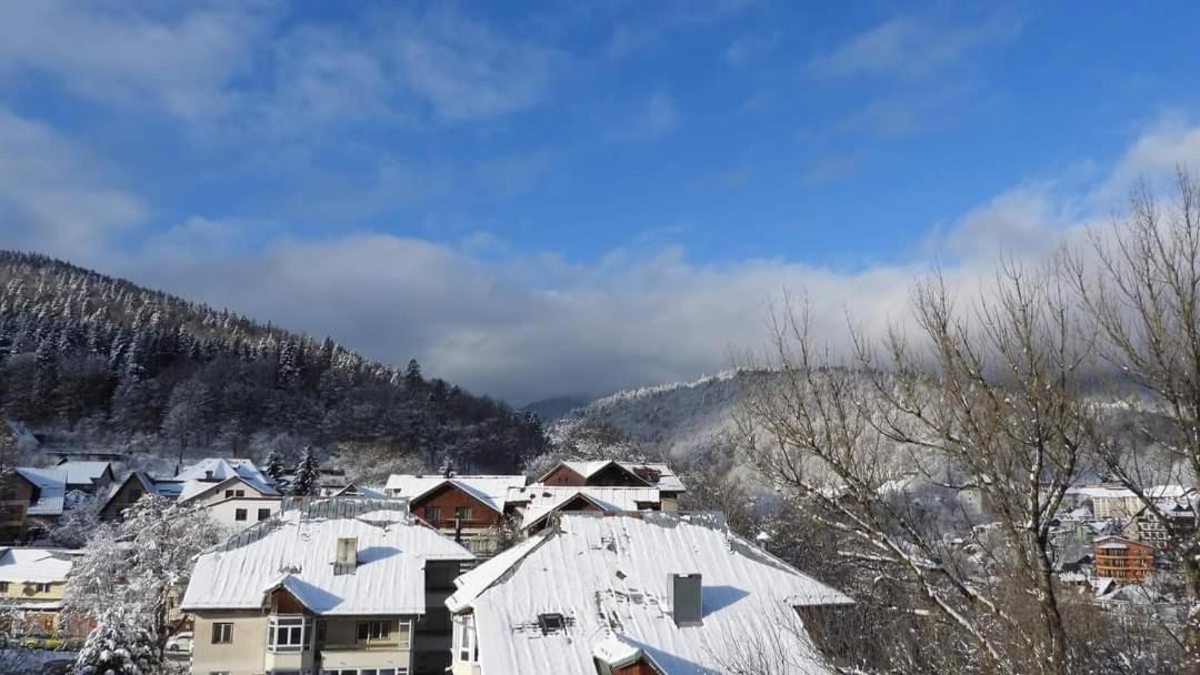Sinaia Alpineview Residence Dış mekan fotoğraf