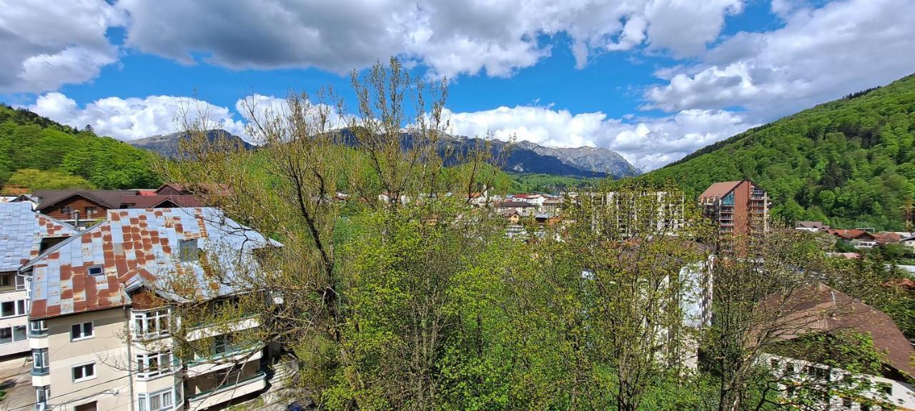 Sinaia Alpineview Residence Dış mekan fotoğraf