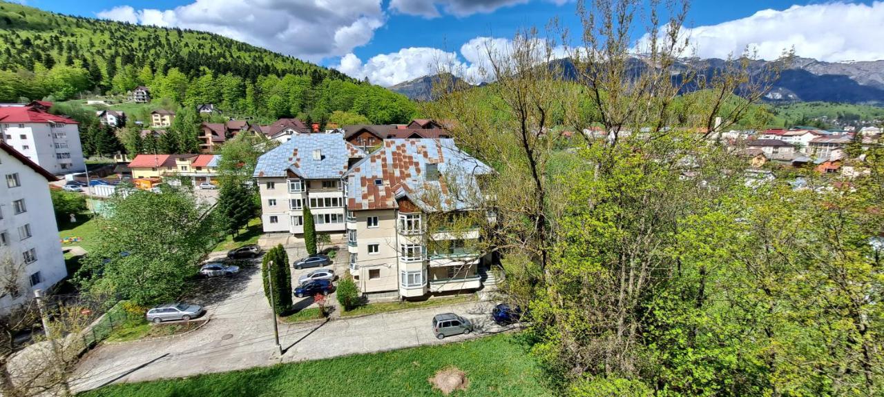 Sinaia Alpineview Residence Dış mekan fotoğraf